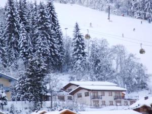 Fotografia z galérie ubytovania Ferienhaus Oberberg vo Flachau