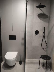 a bathroom with a shower with a toilet and a stool at Nasza Baza wśród drzew prywatny dom z balią - jacuzzi Miedziana Góra Kielce świętokrzyskie in Ćmińsk +127 photos
