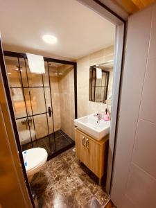a bathroom with a toilet and a sink and a shower at Ottoman Luxury Hotel in Istanbul