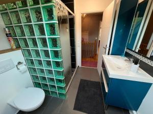 ein Bad mit einem WC und einer Glaswand in der Unterkunft Family home between Paris and Disneyland in Noisy-le-Grand + 17 Fotos