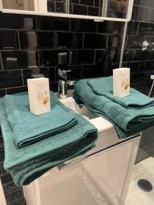 a bathroom with two green towels on a sink at Charming Stay in Saint-Ouen