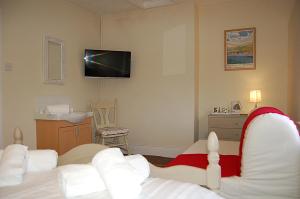 a room with a bed and a tv on the wall at Saint Cadfans Lodge in Tywyn