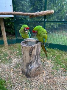 Photo de la galerie de l'établissement Le Château des Rêves de la Ferté Fresnel, à La Ferté-Fresnel