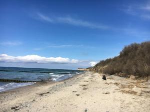una persona sentada en una playa de arena junto al océano en Holiday home NurMeer, en Ahrenshoop
