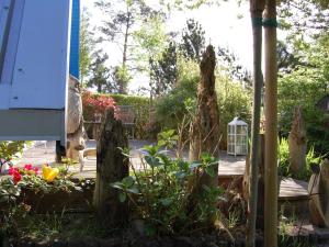 Un jardín con un gato sentado en una terraza de madera. en Holiday home NurMeer, en Ahrenshoop 8 fotos más