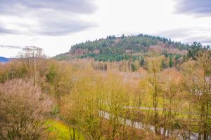 a view of a mountain with a river and trees at GMA Apartment B12 in Lahr