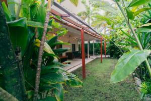 a greenhouse with a bunch of banana plants at Pineapple House in Bocas Town