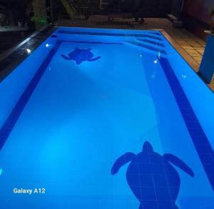 Piscina di SLG Villa Hikkaduwa o nelle vicinanze