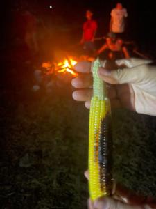 Hosté ubytování Glamping Jarahuco