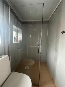 a glass shower in a bathroom with a toilet at Turifoss Camping Cabin 2 in Svedjan