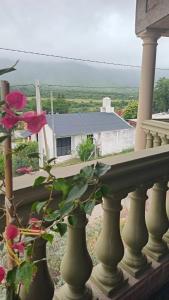 Naturlandskabet i nærheden af lejligheden