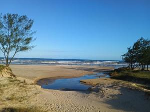 a sandy beach with a tree and the ocean at Casa Pé na Areia - Capão Novo in Capão da Canoa