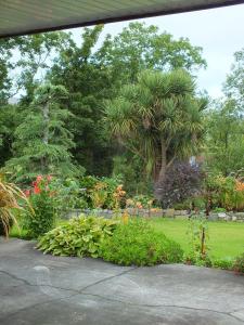 a garden with a bunch of flowers and trees at The Burn in Cushendall