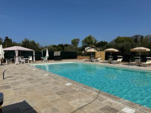 ein Schwimmbad mit Stühlen und Sonnenschirmen in der Unterkunft Corte dei Mirti, Appartamento indipendente con ampia veranda in Iglesias + 12 Fotos