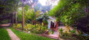 a house in the middle of a yard with trees at Ayuvilla in Goiyapana