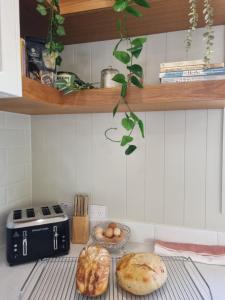 a kitchen with a counter with bread and a toaster at Kenilworth Belli Creek Homestead Retreat in Gheerulla