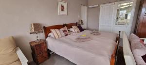 a bedroom with a large bed and a window at Die Speelkamer in Bredasdorp