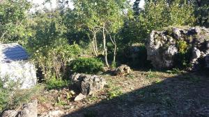 Zahrada ubytování Camping des Templiers - Le Caylar