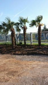 Zahrada ubytování Camping des Templiers - Le Caylar