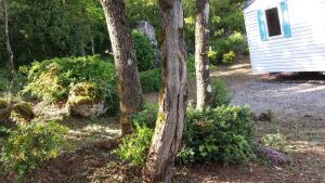 Zahrada ubytování Camping des Templiers - Le Caylar