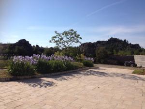 Zahrada ubytování Camping des Templiers - Le Caylar