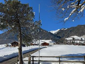 Gallery image of Edelweiss 4 Zi Ferienwohnung in Landhaus in Frutigen