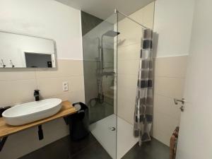 a bathroom with a sink and a shower at Viva la Wildbad in Bad Wildbad +27 photos