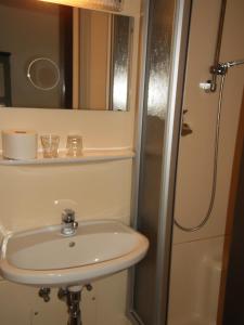 サンクト・ジョアン・イン・チロルにあるBinderhofのバスルーム(シンク、シャワー付)