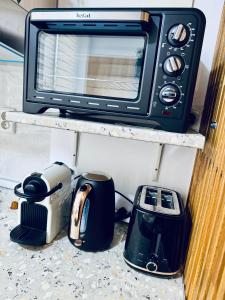 eine Mikrowelle auf einem Regal neben einem Toaster in der Unterkunft Altheda Living Zircon A-37 in Suceava