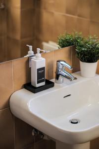 a bathroom sink with a soap dispenser on it at THE CORE - 4 min Walk to Bernina Express in Tirano +31 photos