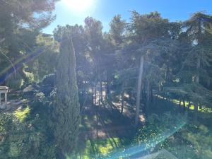 バンドールにあるBandol - Plage de Renécrosの木々の森の上景 +2枚の写真