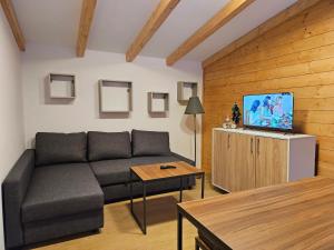 TV in/ali zabaviščno središče v nastanitvi Apartments Ostojic