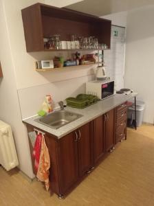 Kuchyň nebo kuchyňský kout v ubytování Ubytování u Boženky