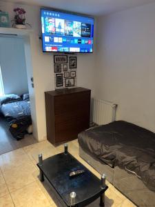 Televízia a/alebo spoločenská miestnosť v ubytovaní RESIDENCE Miranda
