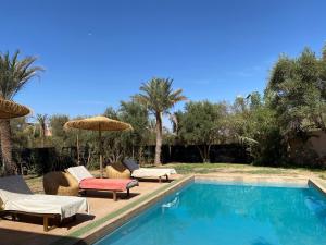 a swimming pool with chairs and umbrellas next to a swimming pool at Villa des oliviers in Marrakech
