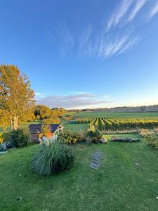 a garden with a view of a field and trees at Landhaus Am Rebstock FeWo Anker in Lancken-Granitz