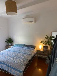 Dormitorio con cama, lámpara y planta en Middleton Beach Shack, en Middleton