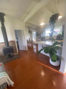 sala de estar con chimenea y planta en Middleton Beach Shack, en Middleton
