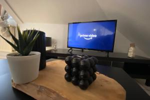 TV a/nebo společenská místnost v ubytování Le Central-Gare-Centre ville-Idéalement situé