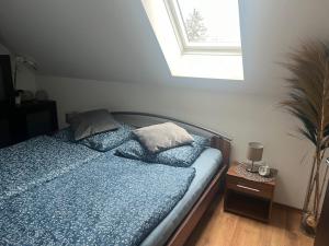 ein Schlafzimmer mit einem Bett mit blauen Laken und einem Fenster in der Unterkunft Ferienwohnungen AugenBlick 2 Naumburg in Naumburg