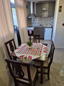 Η κουζίνα ή μικρή κουζίνα στο Apartman Blažević +1 φωτογραφίες