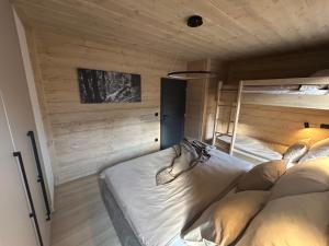 a bedroom with two beds in a room with wooden walls at Apartmány Dolina in Belá +90 photos
