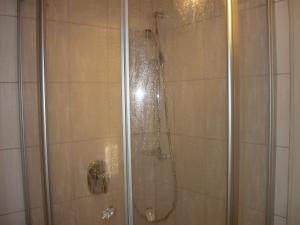 a shower with a glass door with a shower at Berghaus Edelstein in Bodenmais in Bodenmais +3 photos