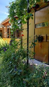 a garden with a tree in front of a house at El Nogal Viedma in Viedma