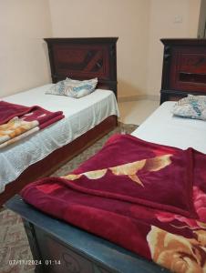 deux lits dans une chambre avec des couvertures rouges dans l'établissement شقة في موا بلازا كورنيش النيل اسوان Apartment in Mowa Plaza Aswan Nile Corniche, à Aswān