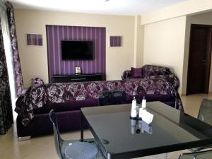 sala de estar con sofá y TV en REM Apartments, en Tesalónica