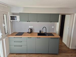 Kuchnia lub aneks kuchenny w obiekcie Apartments Maržić
