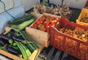 a display of vegetables in boxes on the ground at Camping du Vignal in Lablachère +22 photos