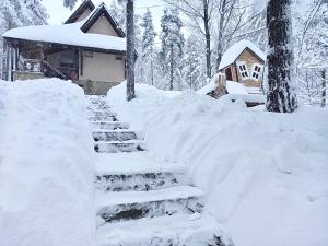 Vikendica Martinović kapag winter