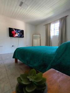 Μια τηλεόραση ή/και κέντρο ψυχαγωγίας στο Casa acogedora parque playa